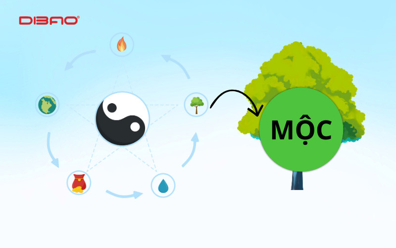 mệnh mộc nên đi xe màu gì